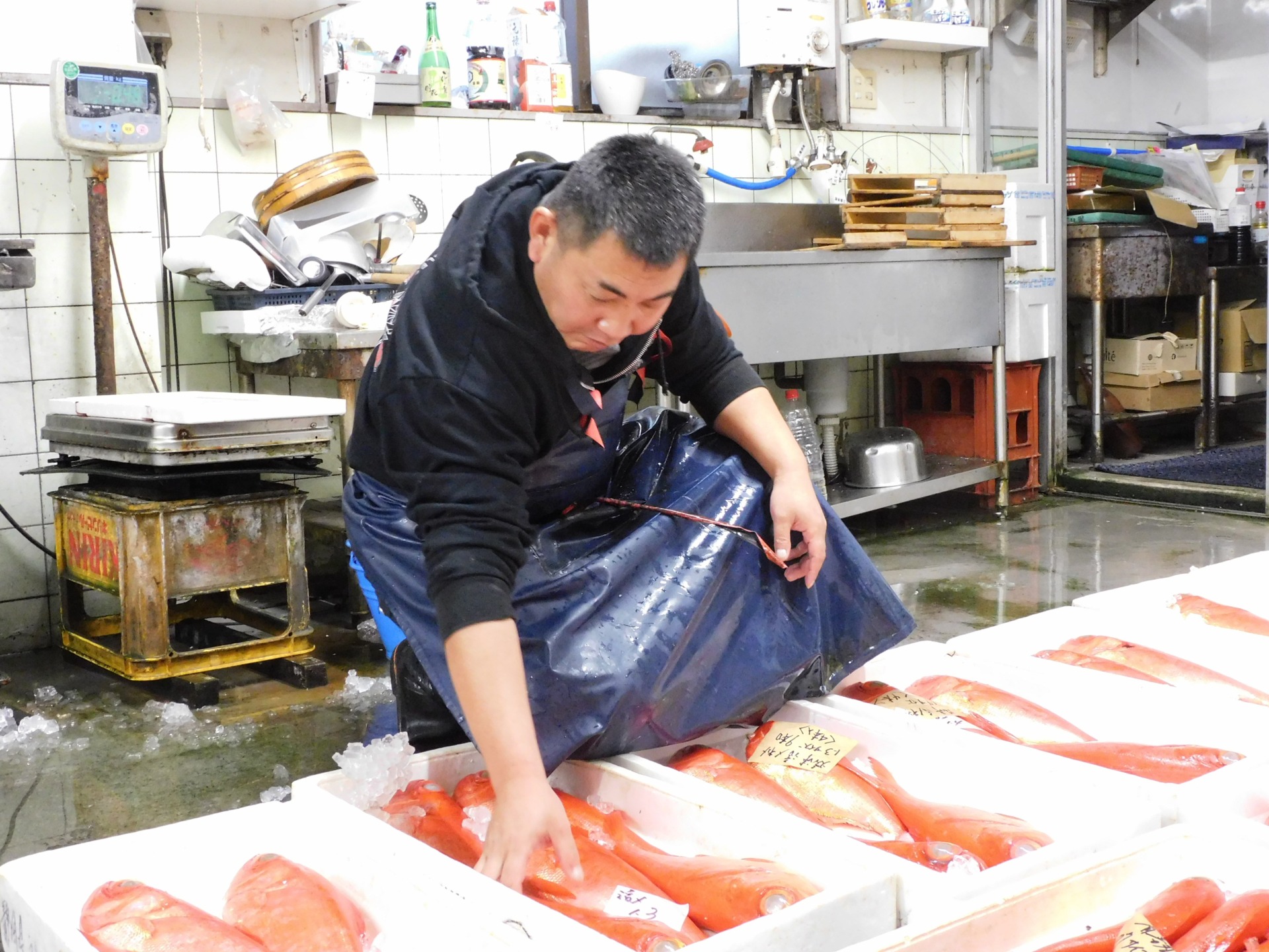 築地一のマグロ屋が驚き「何者なんだ」　まちの魚屋が世界を目指す無謀な挑戦を実現